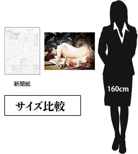 高砂ミドリ A2 サイズ ポスター # 1 (消費税+送料込)